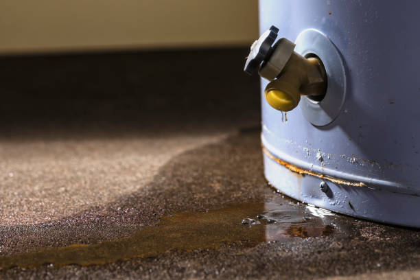Best Professional water damage repair  in Matteson, IL