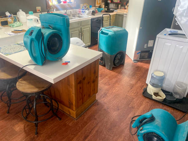 Best Carpet water damage restoration  in Matteson, IL