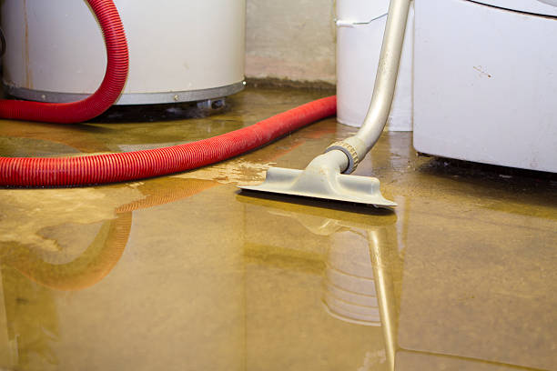 Water damage restoration mold remediation in IL