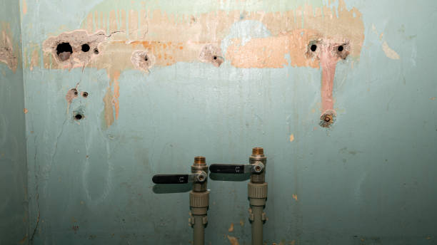 Best Emergency water damage restoration  in Matteson, IL