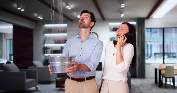 Best Water damage restoration specialists  in Matteson, IL